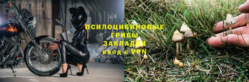 Псилоцибиновые грибы мухоморы  Борзя 